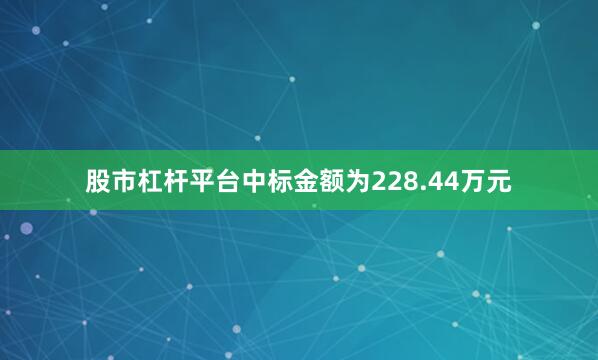 股市杠杆平台中标金额为228.44万元